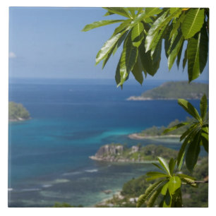 Carreau Seychelles, île de Mahe. Côte ouest de