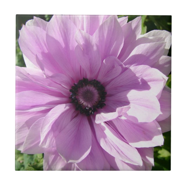 Carreau Shabby Purple Fleur de printemps floral céramique  (Devant)