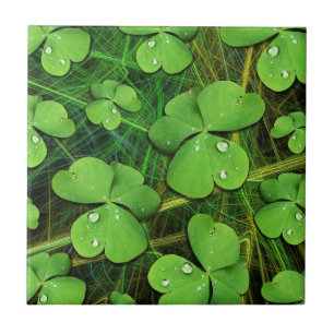 Carreau Shamrock vert St Patrick iPhone 5 Coque-Mate