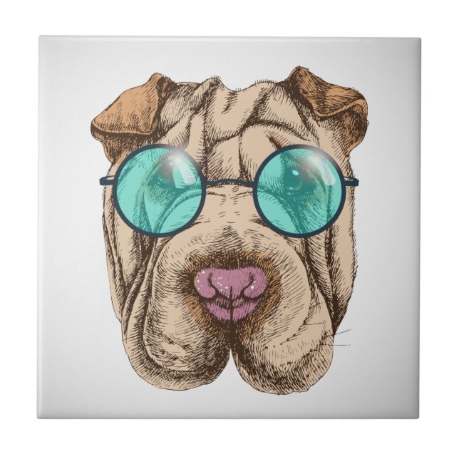 Carreau Sharpei dans les lunettes de soleil (Devant)
