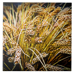 Carreau Sheaf Of Wheat - Merci