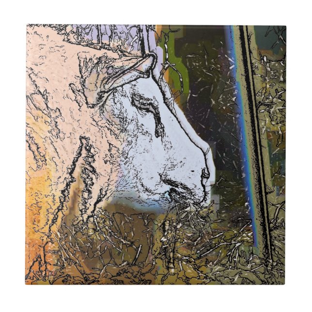 CARREAU SHEEP (Devant)