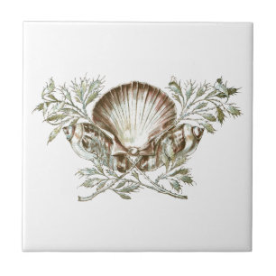 Carreau Shell blanc