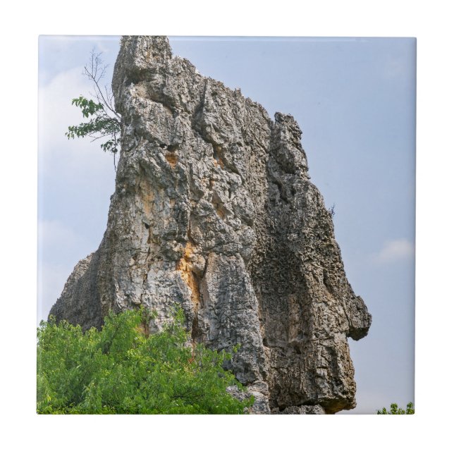 Carreau Shilin pinnacles Forêt de pierre - Yunnan, Chine,  (Devant)