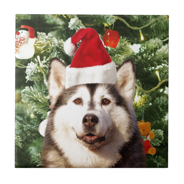 Carreau Sibérie Husky Arbre de Noël Ornements Snowman (Devant)