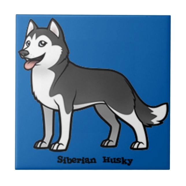 Carreau Sibérien Husky (Devant)