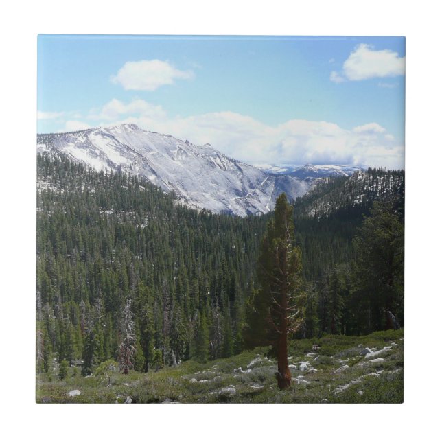 Carreau Sierra Nevada Mountains II de Yosemite (Devant)