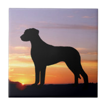 Silhouette luminescente de Rhodesian Ridgeback