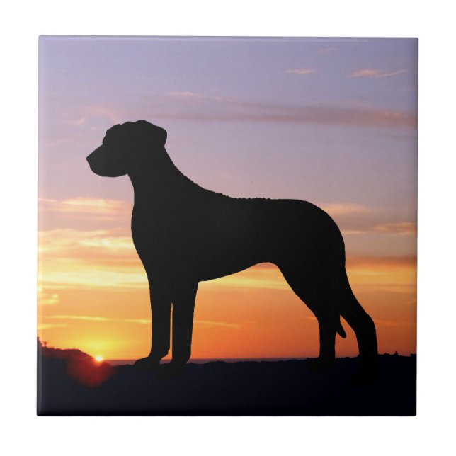 Carreau Silhouette luminescente de Rhodesian Ridgeback (Devant)