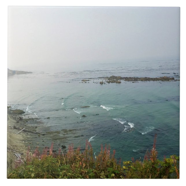 Carreau Simpson Reef Overlook, Oregon Coast (Devant)