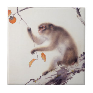 Carreau Singe dans un arbre de kaki