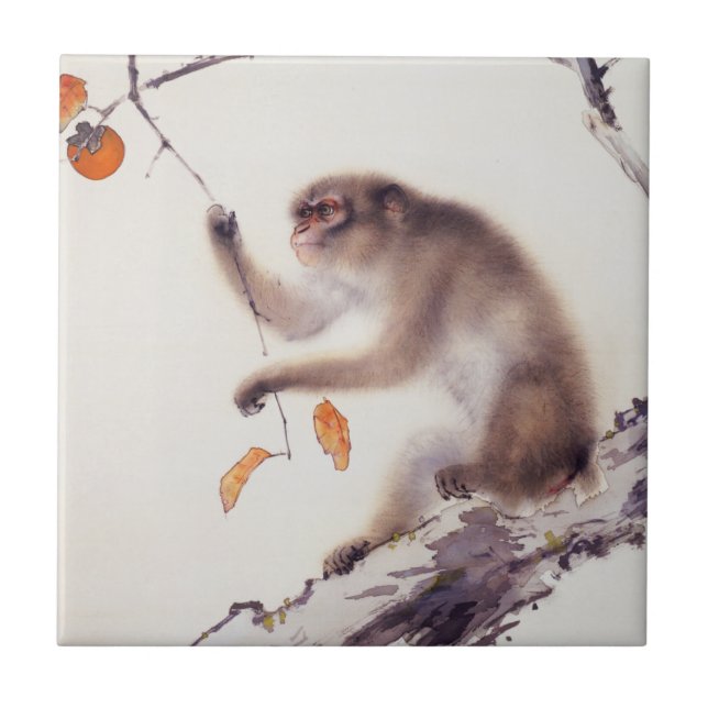 Carreau Singe dans un arbre de kaki (Devant)