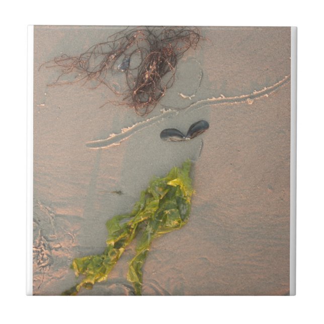 Carreau Sirène (Devant)