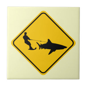 Carreau Ski de requin