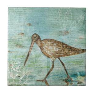 Carreau Snipe Shorebird Coastal Beach House Decor