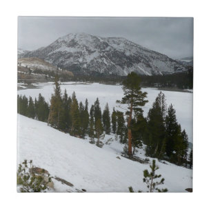 Carreau Snowy Ellery Lake California Paysage hivernal