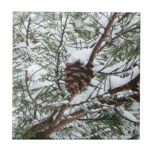 Carreau Snowy Pine Cône II hiver Photographie de la nature