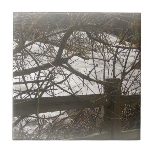 Carreau Snowy Woods