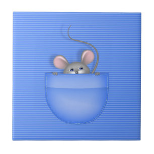 Carreau Souris dans la poche