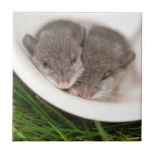 Carreau Souris tellement somnolentes de bébé