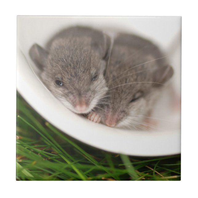 Carreau Souris tellement somnolentes de bébé (Devant)