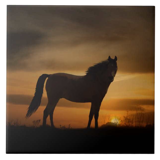 Carreau Southwestern Horse et Sun Art Tile (Devant)