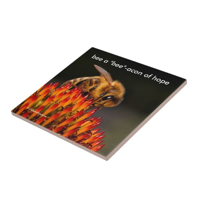 Carreau Soyez un "Bee" Bacon de l'Espoir Bee sur Echinacea (Côté)