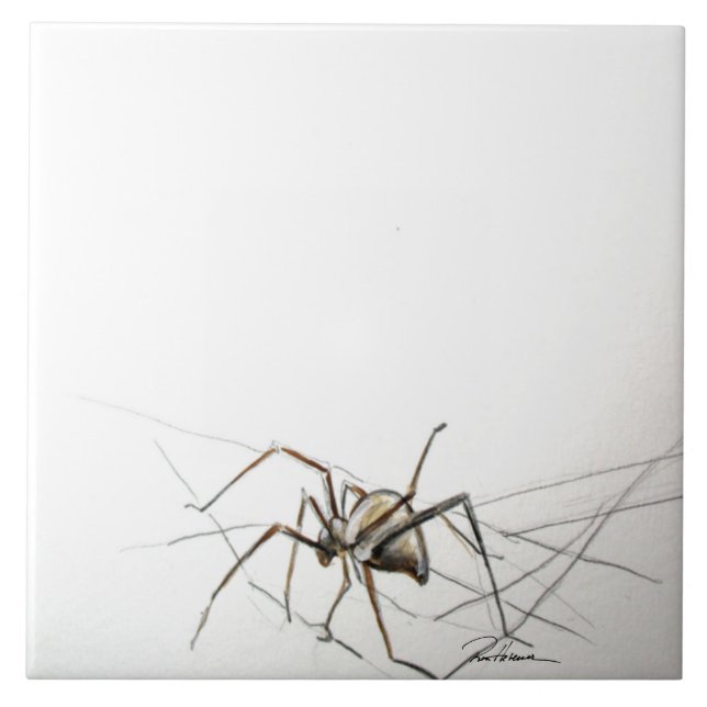 Carreau Spider Web (Devant)