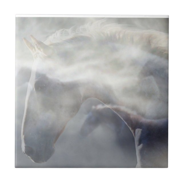 Carreau Spirit Horse Belle Art (Devant)