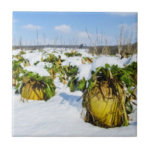 Carreau Squash d'hiver en neige - Céramique personnalisée