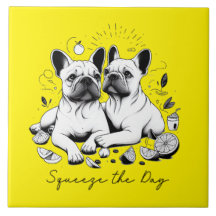 Squeeze Le Jour