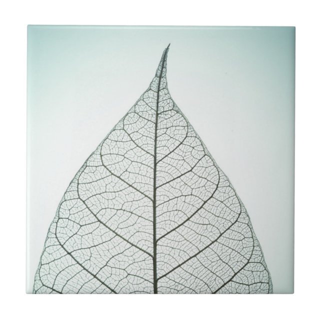 Carreau Squelette vert de feuille (Devant)