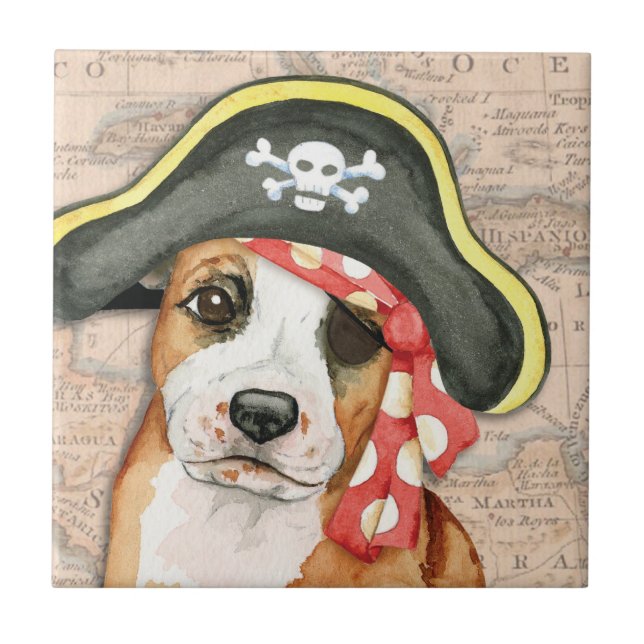 Carreau Stafford Pirate (Devant)