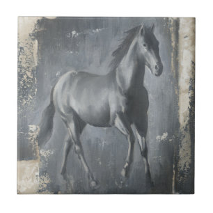 Carreau Stallion noir