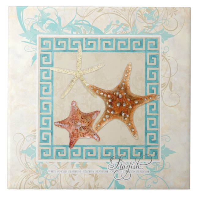 Carreau Starfish Sea Shells Ocean Greek Key Pattern (Devant)