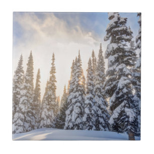 Carreau Station de ski de Crystal Mountain, près de Mt Ra