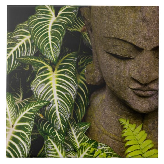 Carreau Statue dans des informations sur l'emplacement de (Devant)