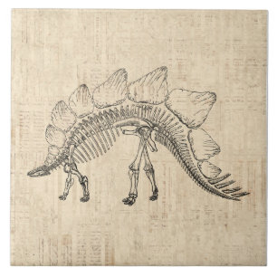 Carreau Stegosaurus Dinosaur Skeleton Papier à script Vint
