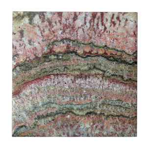 Carreau Stromatolites fossilisé