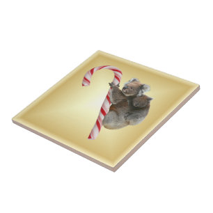 Carreau Sucre de canne de Noël Koalas