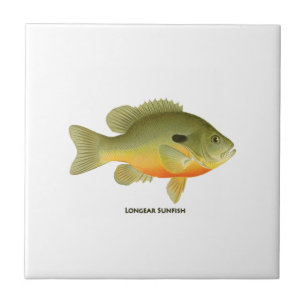 Carreau Sunfish de Longear