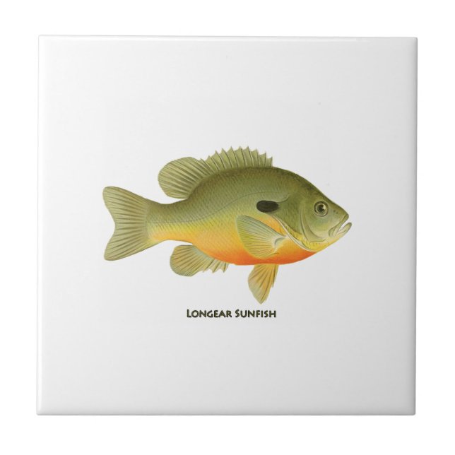 Carreau Sunfish de Longear (Devant)
