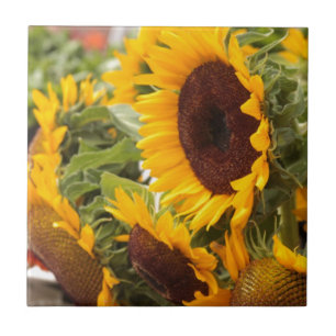 Carreau Sunflowers !