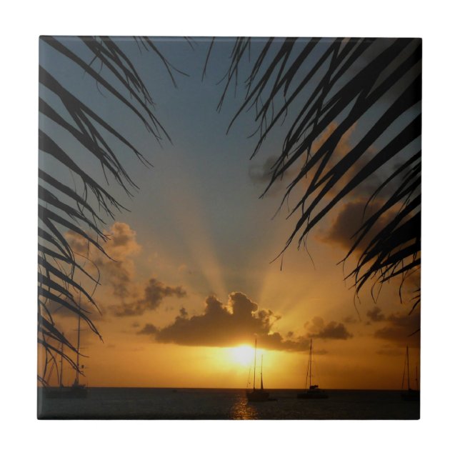 Carreau Sunset Through Palm Fronds (Devant)