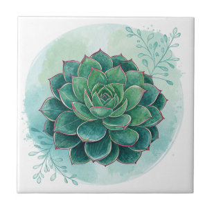 Carreau Superbe Carrelage Plante Succulent Vert Foncé