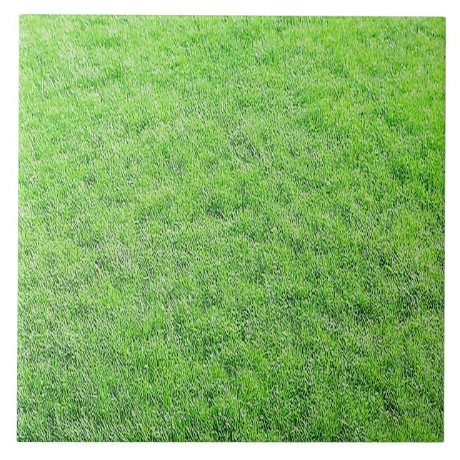 Carreau Superbe Carrelage vert d'herbe (Devant)