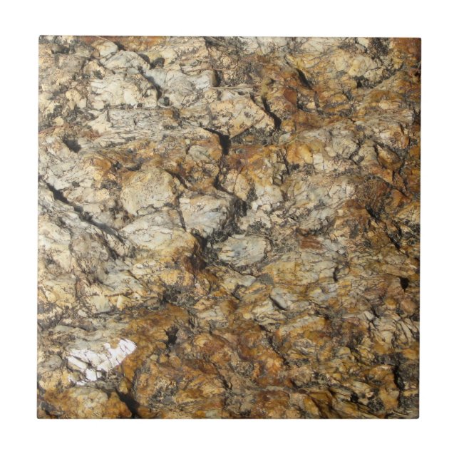 Carreau Surfaces_Marbre naturellement Cool (Devant)