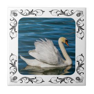 CARREAU SWAN