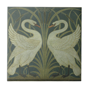 Carreau Swans par Walter Reed 1875