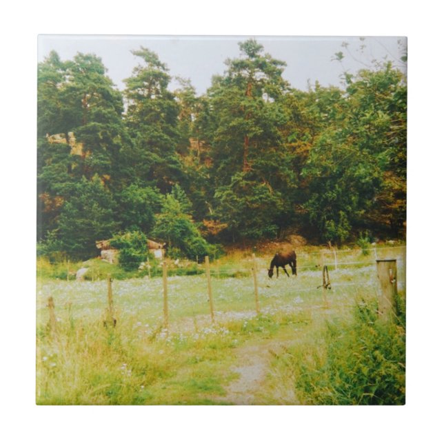 Carreau Swedish Countryside (Devant)